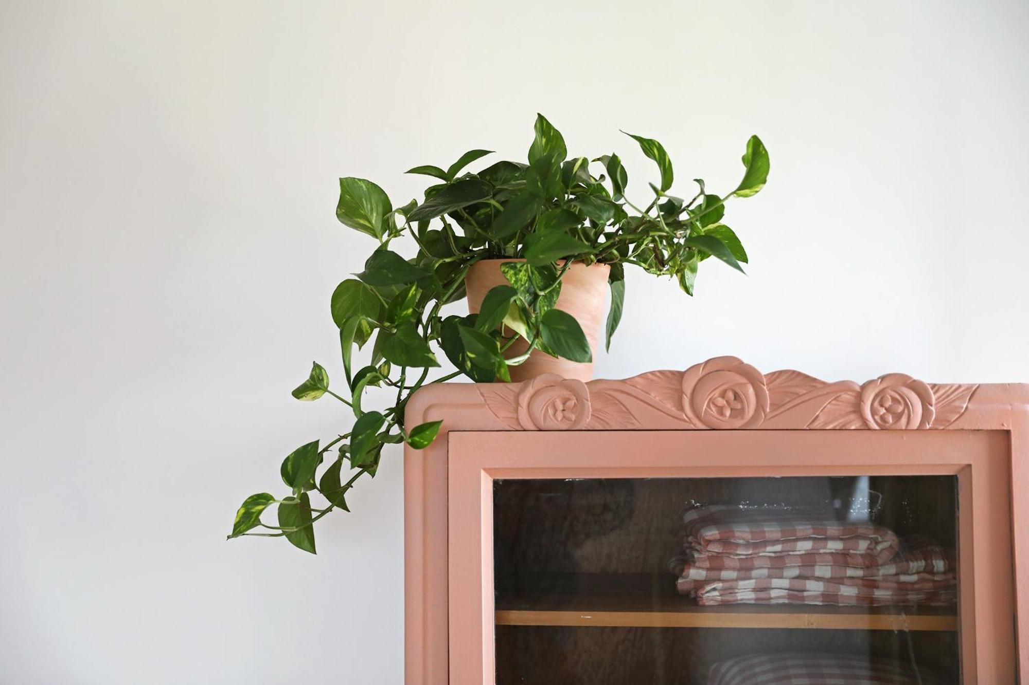 Homestay Dans Maison Familiale A Dalouas, A 20 Minutes De Brest