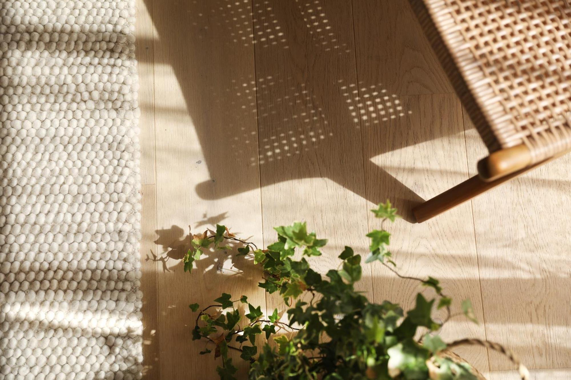 Homestay Dans Maison Familiale A Dalouas, A 20 Minutes De Brest Plougastel-Daoulas
